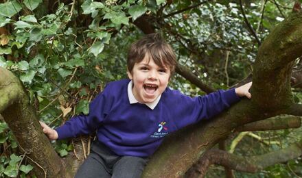Laughing child sitting in a tree